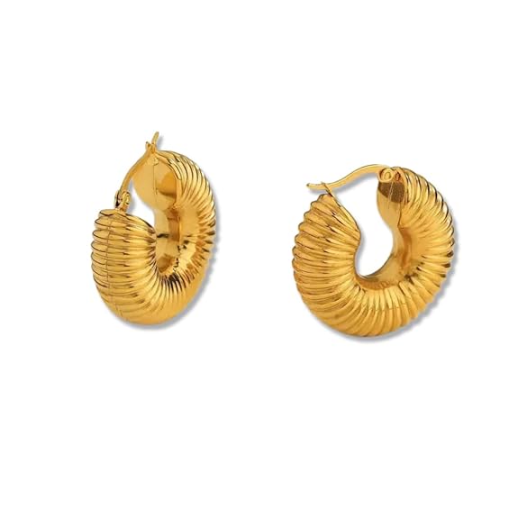 22k Gold Plated Coil Hoop Earrings for Women & Girls Charmora By Rohi